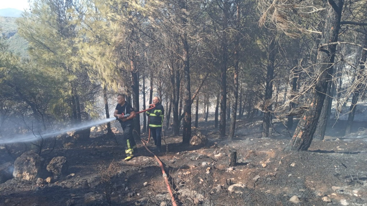 Hatay'da orman yangını