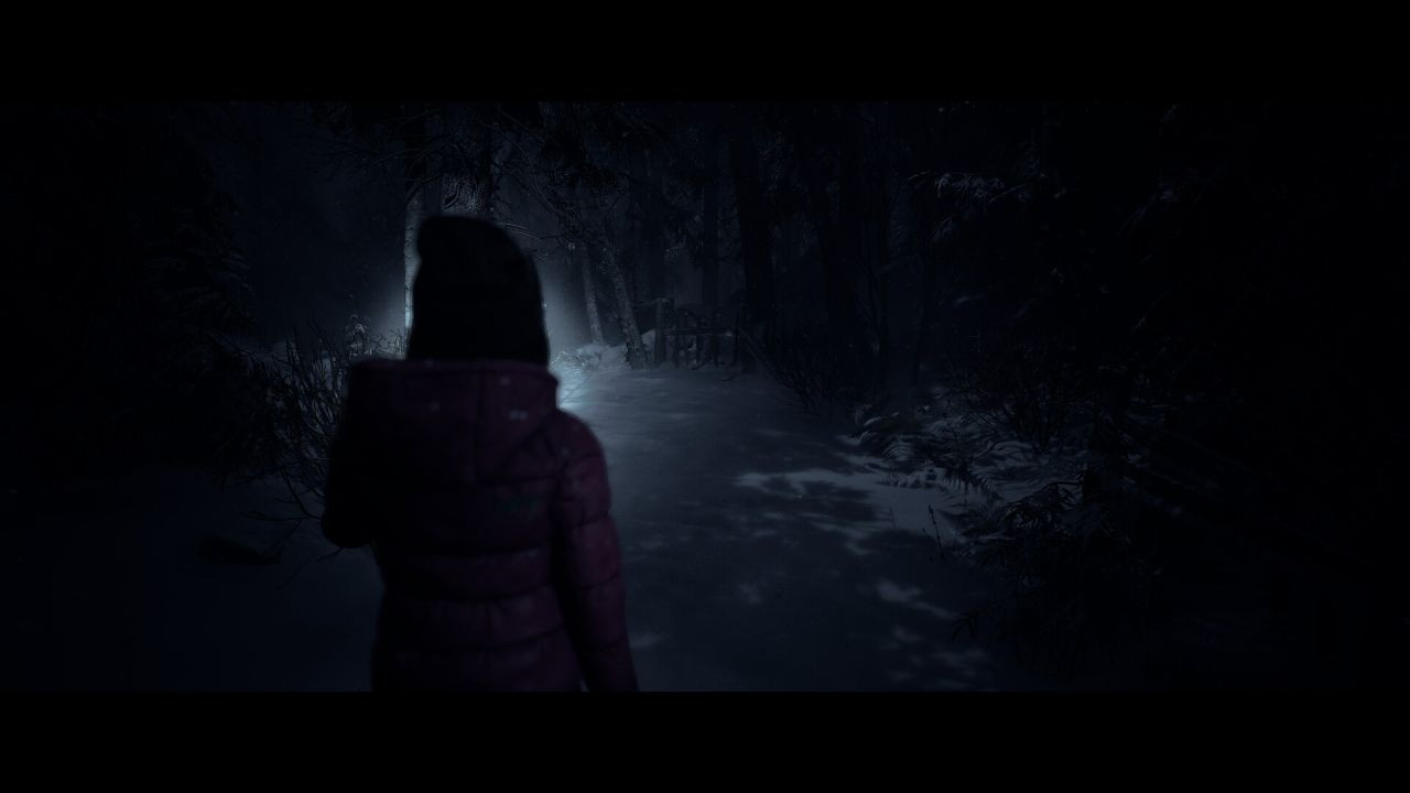 Until Dawn Remake'i Başarısızlıkla Sonuçlanabilir - Sayfa 12