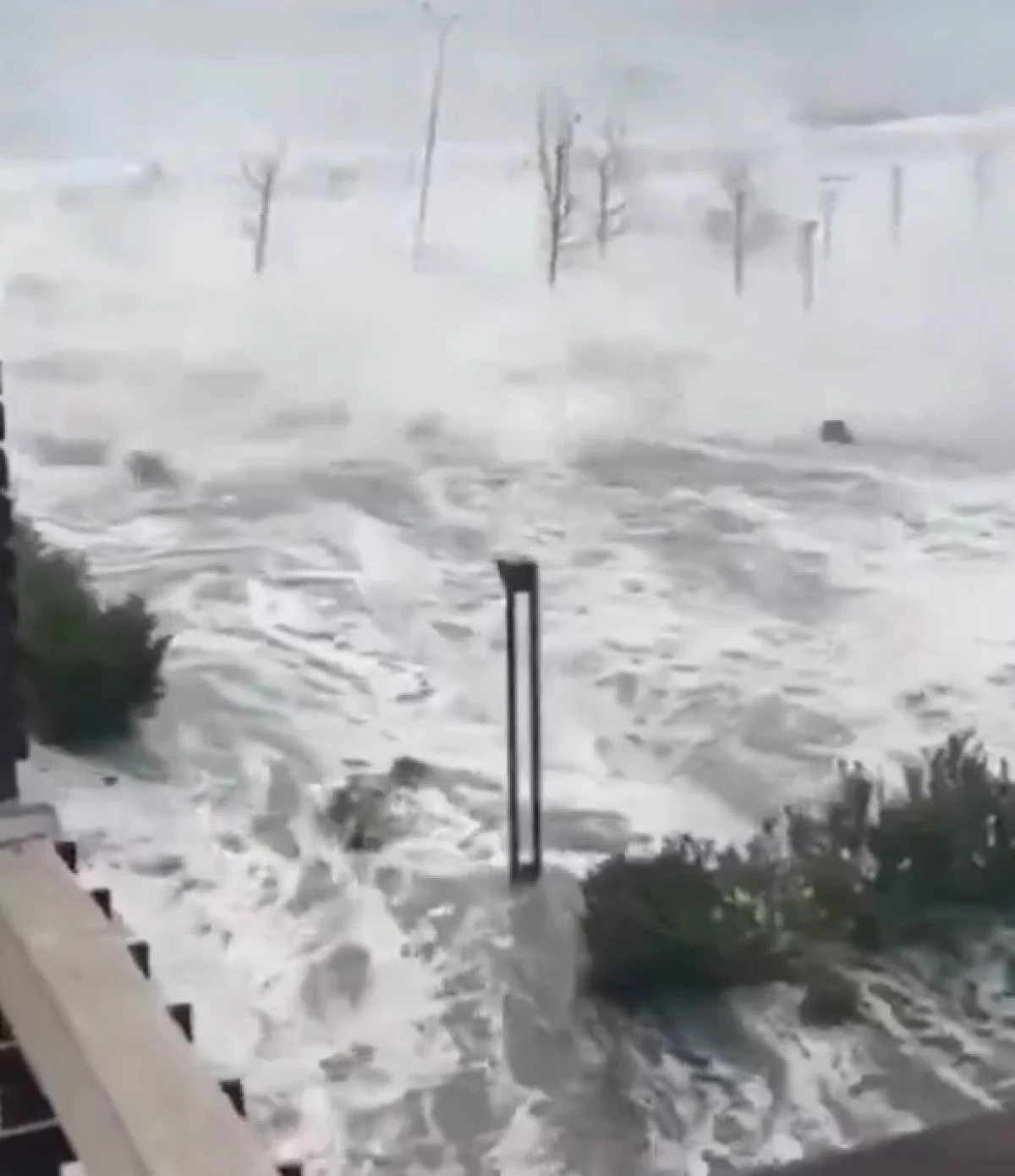 Milton Kasırgası Ardından Halk Evlerine Dönmeye Başladı: 16 Ölü - Sayfa 11