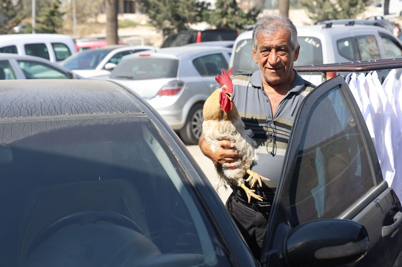 Horoz ve Sahibi Mercedes’le Şehir Turlarında - Sayfa 2