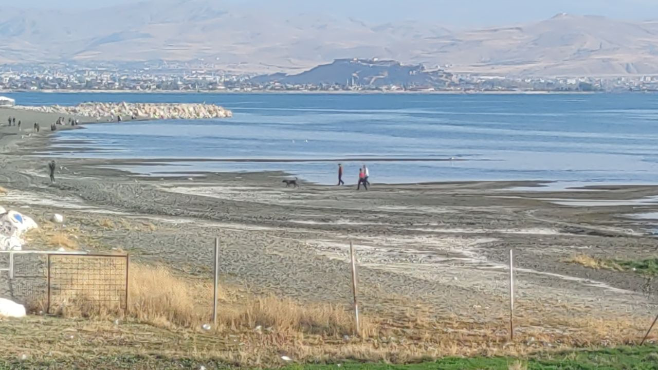 Rojin Kabaiş'i arama çalışmalarına jandarma sualtı kadavra arama köpeği katıldı - Sayfa 6