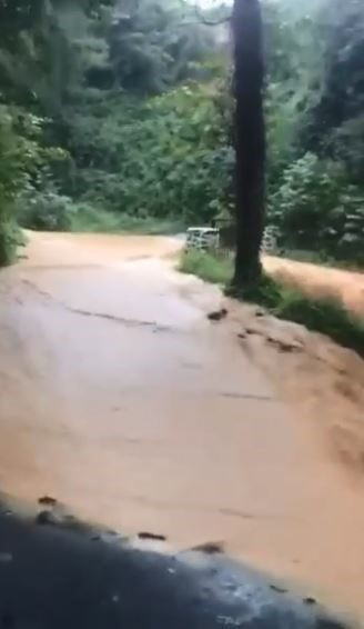 Artvin'de Şiddetli Yağışlar Sonrası Bazı Köy Yolları Kapandı - Sayfa 2