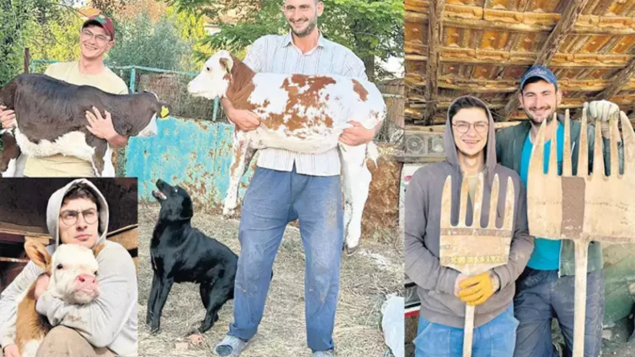 Kampüsten tarlaya! Üniversiteyi bitiren kuzenler çiftçiliğe döndü