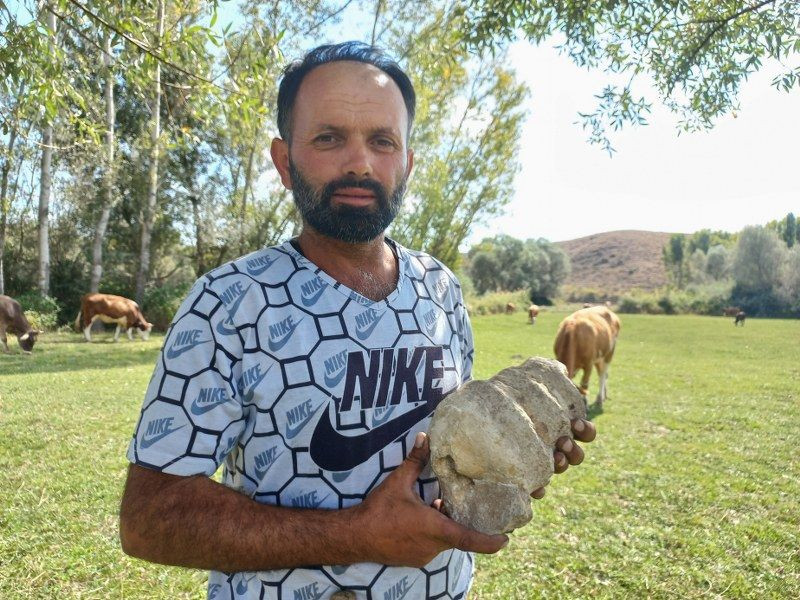 Hayvan otlatırken fosil buldu - Sayfa 5