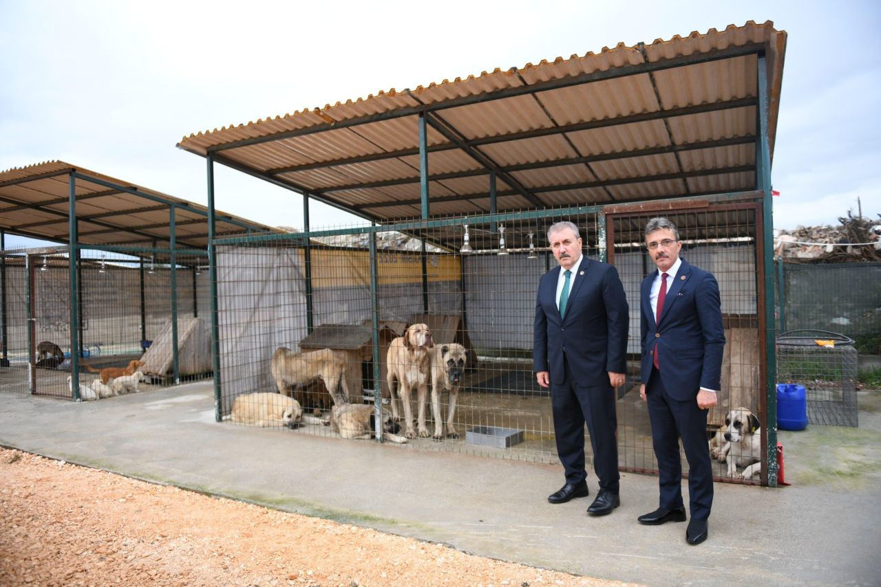 Erenler'de Tamamlanan Projeler Açıldı, Yeni Projeler Tanıtıldı - Sayfa 8