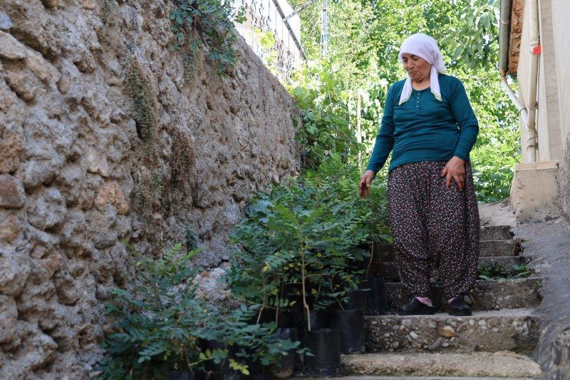 "Sumakçı Dede" bir ilke imza attığı sumakları miras bıraktı - Sayfa 2