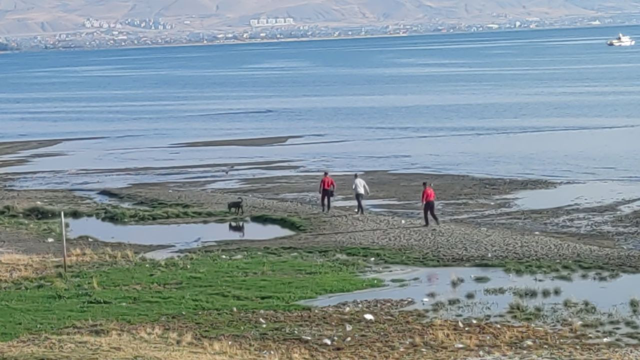 Rojin Kabaiş'in ölüm nedeni araştırılıyor - Sayfa 20