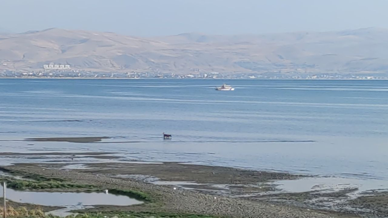 Rojin Kabaiş'in ölüm nedeni araştırılıyor - Sayfa 16