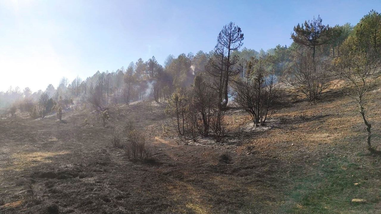 Hisarcık'ta Çıkan Orman Yangını 8 Hektar Alanı Etkiledi - Sayfa 2