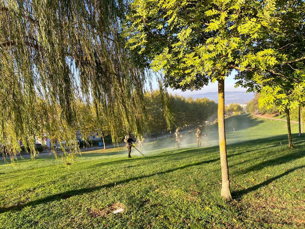 Büyükşehir’den Şehrin Dört Bir Yanına Sonbahar Dokunuşu - Sayfa 12