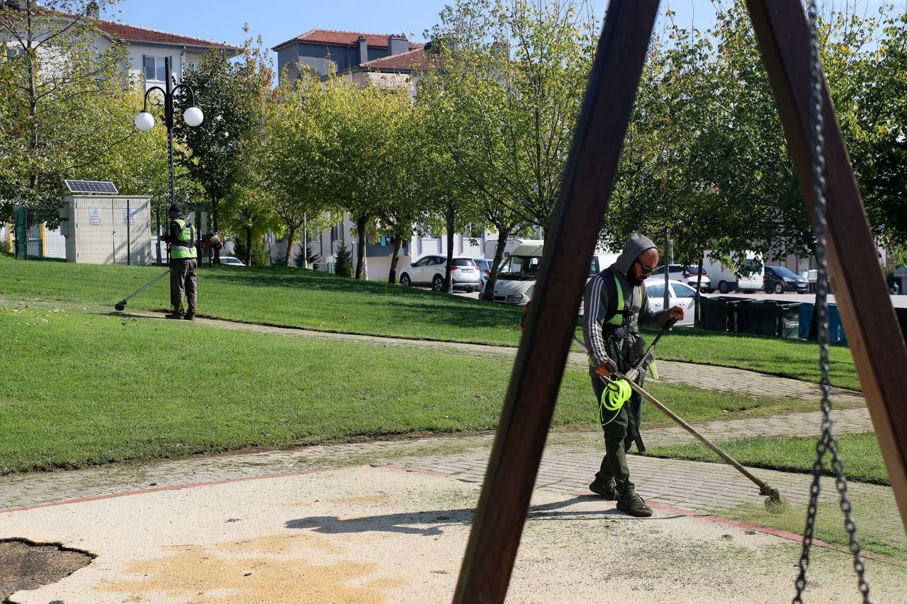 Büyükşehir’den Şehrin Dört Bir Yanına Sonbahar Dokunuşu - Sayfa 13