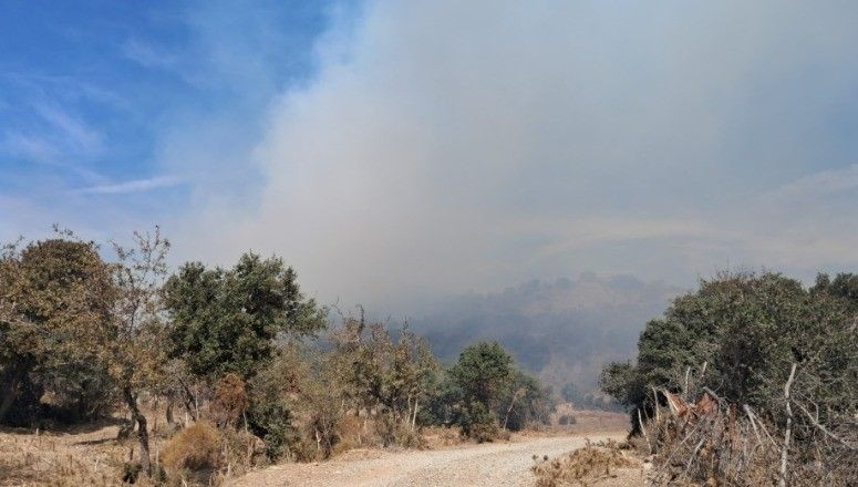 Bodrum’da ağaçlık alanda yangın çıktı - Sayfa 3