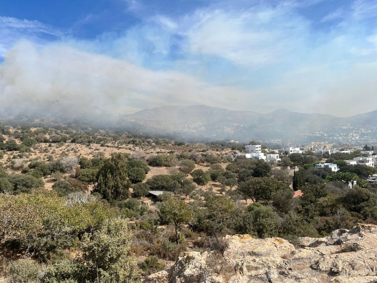 Bodrum’da ağaçlık alanda yangın çıktı - Sayfa 4