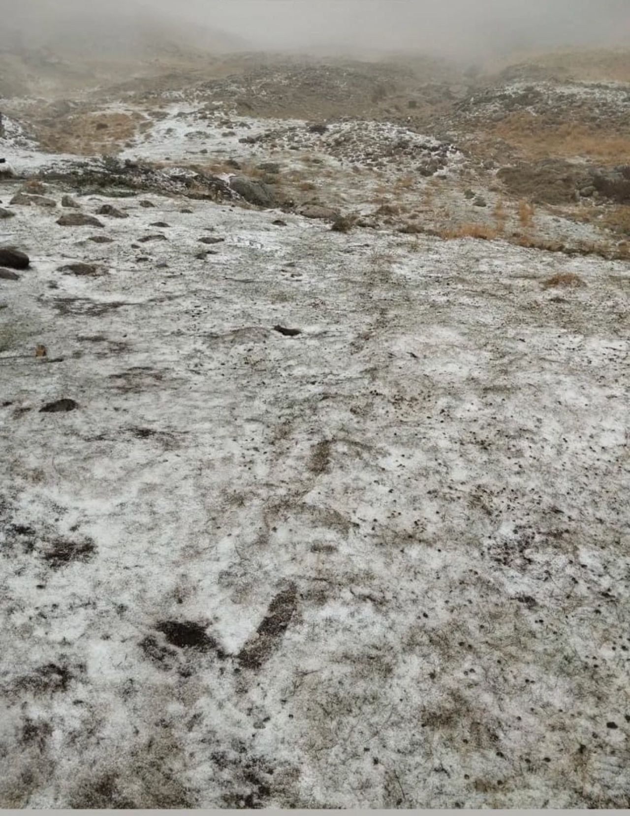 Uludağ'da beklenen kar yağışı başladı - Sayfa 6