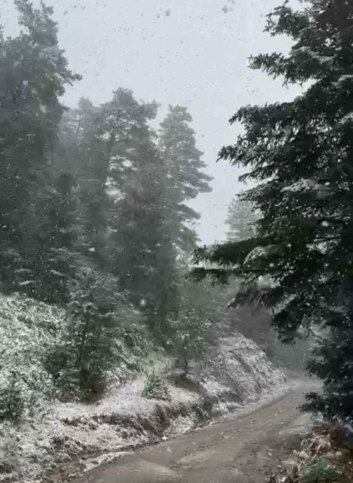 Bolu’da Kar Manzaraları: Beyaz Örtü Yükseltileri Sardı - Sayfa 3