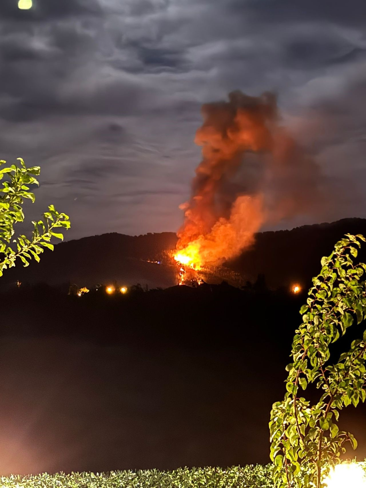 Muğla Ortaca'da Orman Yangınına Müdahale Sürüyor - Sayfa 7