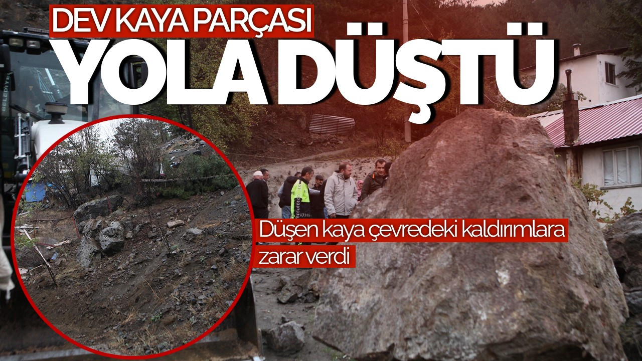 Bolu'da Dev Kaya Parçası Yola Düştü: Paniğe Neden Oldu