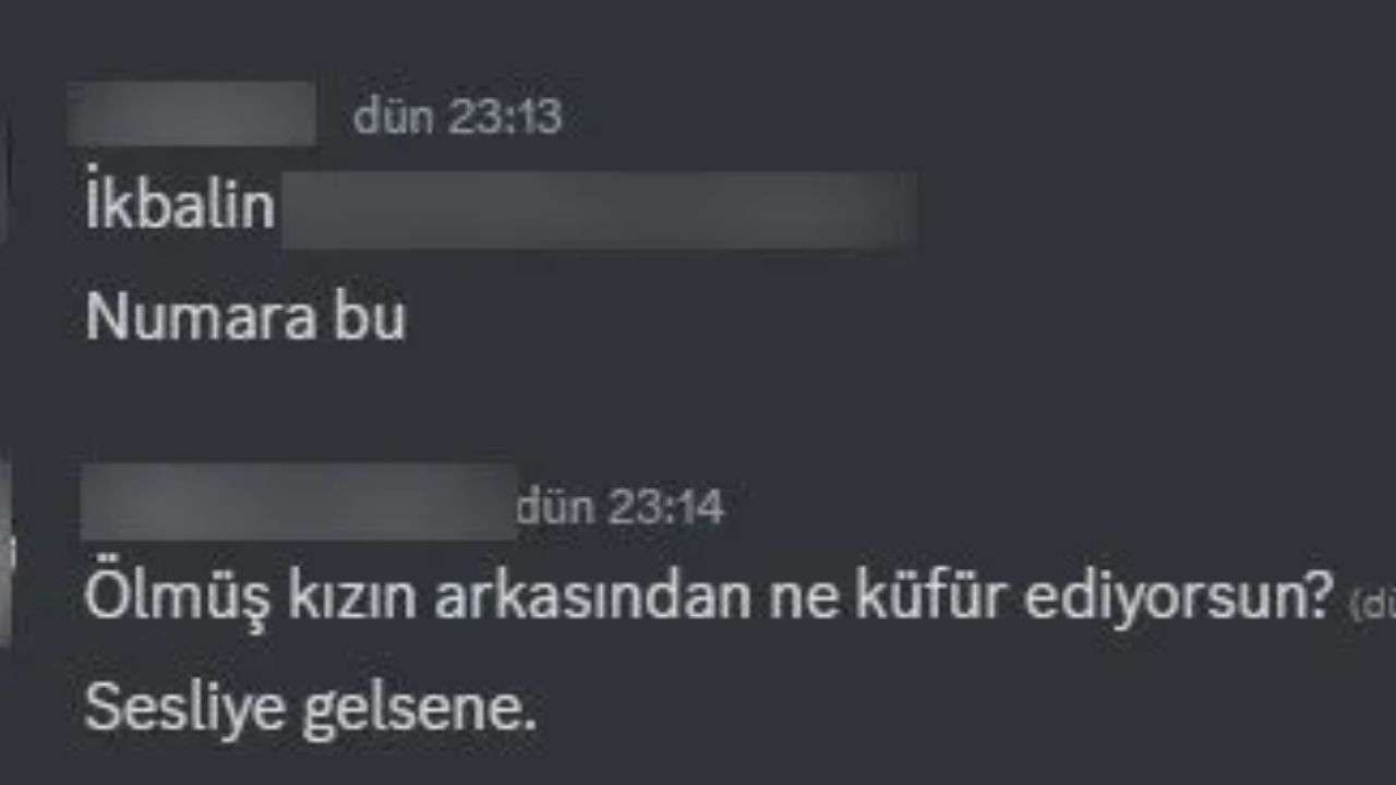 Discort'a VPN ile bağlandılar Atatürk’e ve İkbal Uzuner’e küfürler yağdırdılar - Sayfa 7