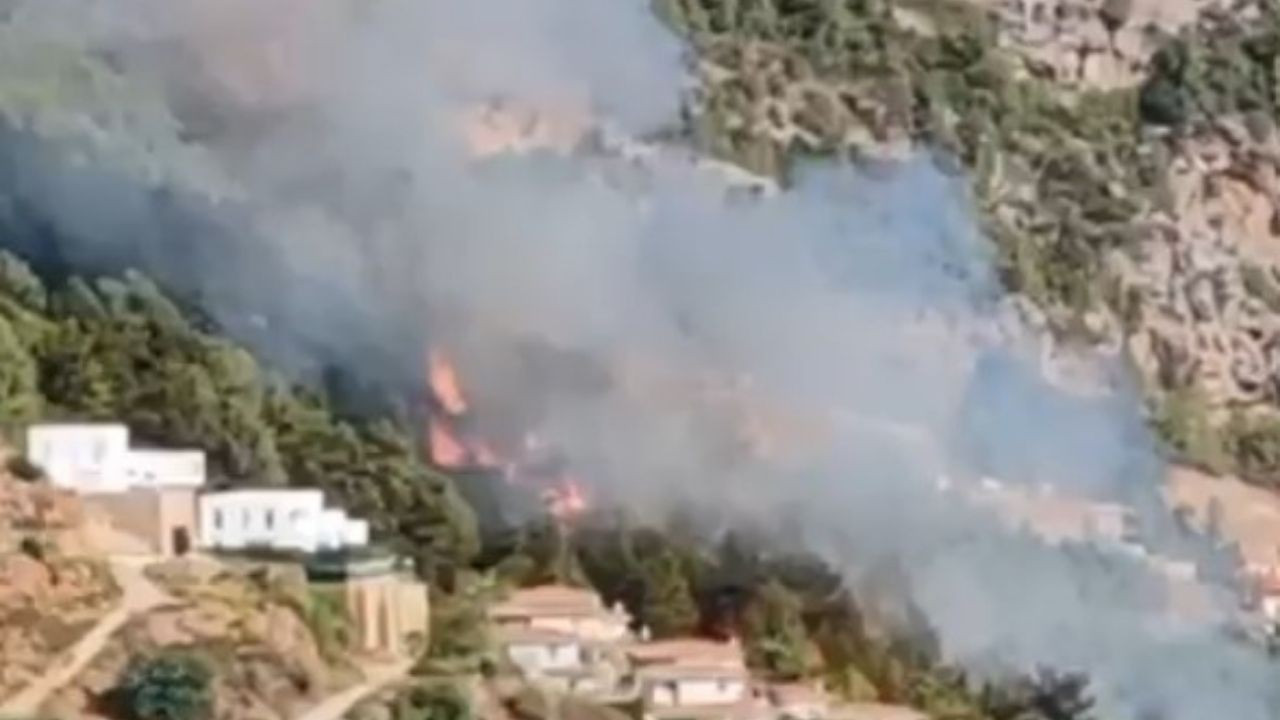 Alanya'da orman yangını