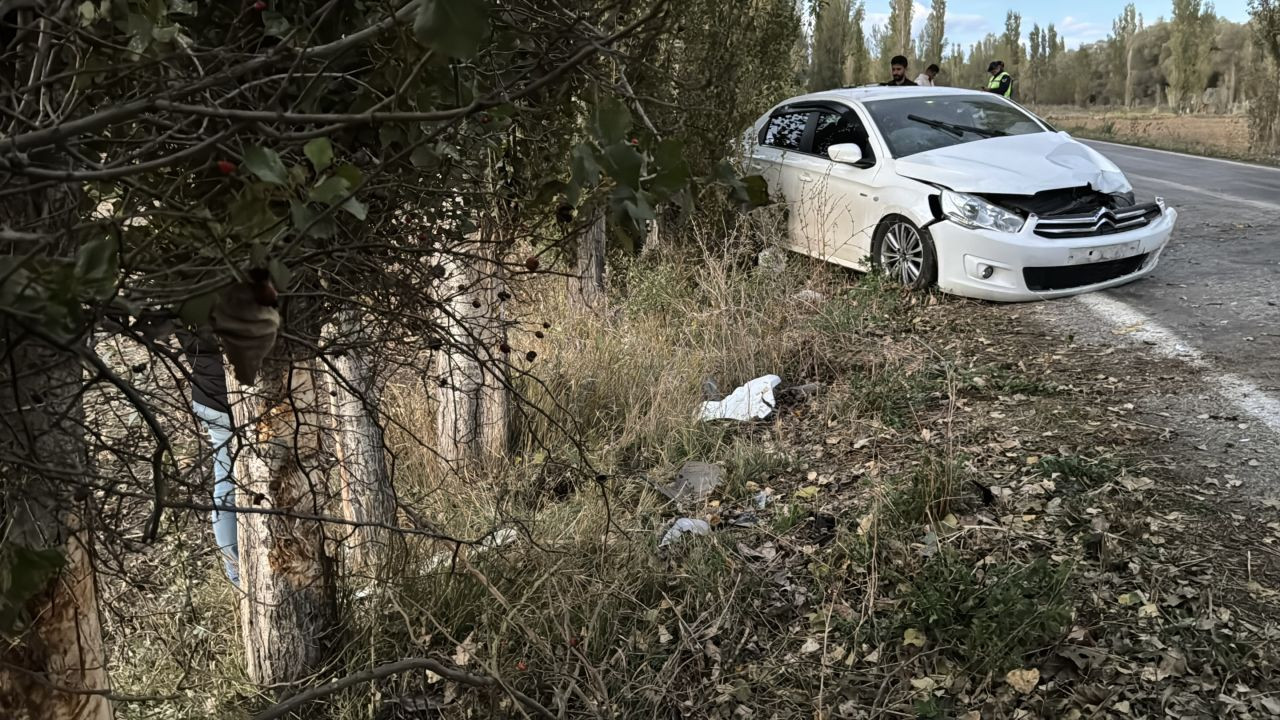 Kontrolden Çıkan Otomobil Ağaca Çarptı, 4 Yaralı - Sayfa 2