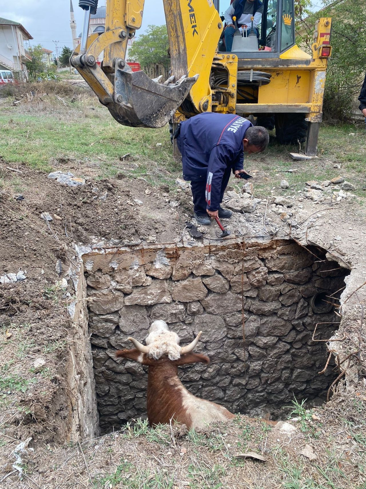 Amasya’da Çukura Düşen İnek Vinçle Kurtarıldı - Sayfa 2