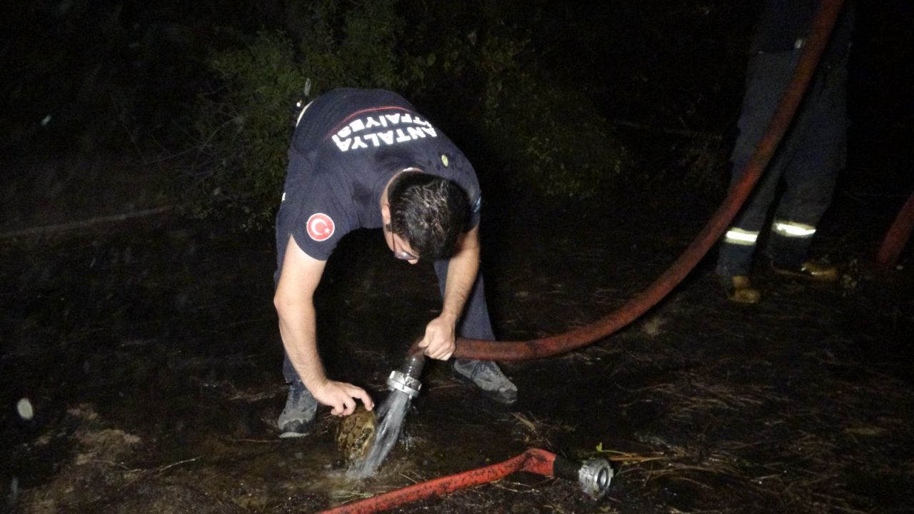 Manavgat'ta Yangın Tehlikesi Kontrol Altına Alındı - Sayfa 7