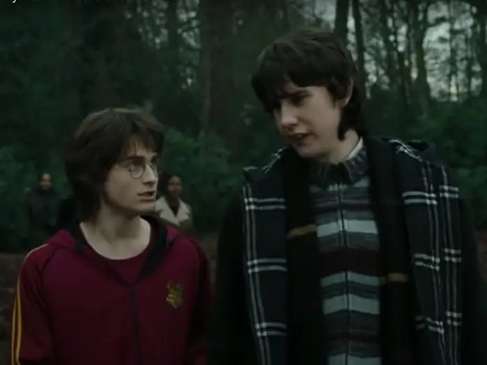 Harry Potter Filmlerinin Kitaplardan Farklı Olan 27 Detayı - Sayfa 16