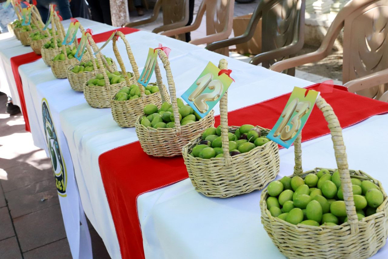 "12. Zeytin Hasat Şenliği" nde Tescilli Zeytinler Yarıştı - Sayfa 4