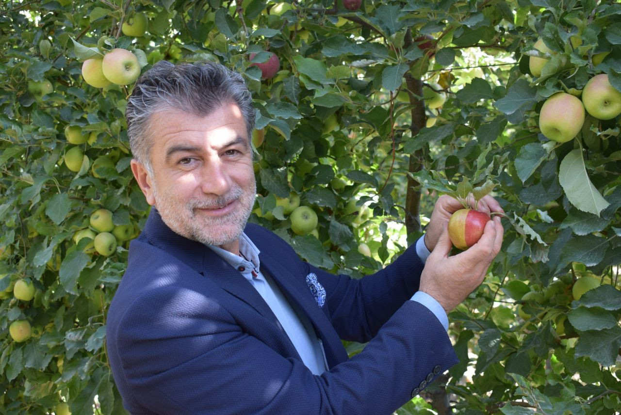 Karaman’da sarı kırmızı elma görenleri hayrete düşürüyor - Sayfa 2