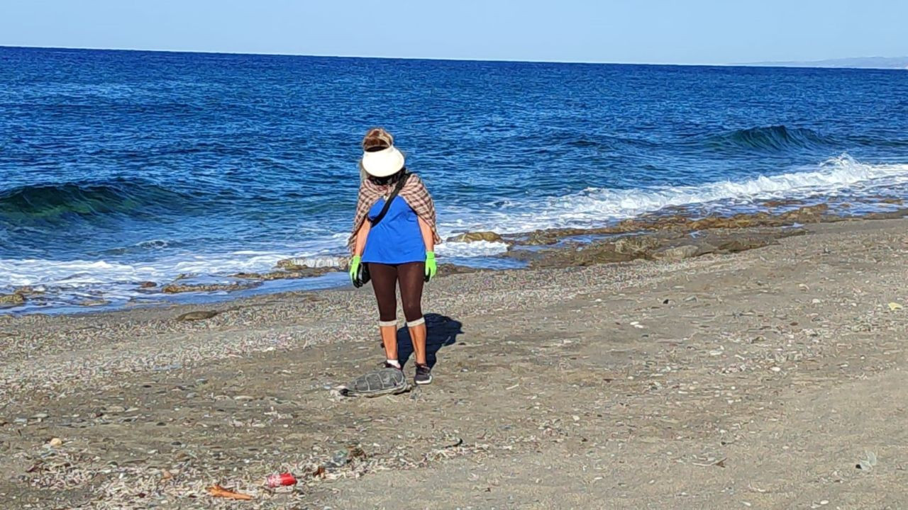 "Alanya'da Şok: Son Bir Haftada İki Caretta Caretta Ölü Bulundu'' - Sayfa 4