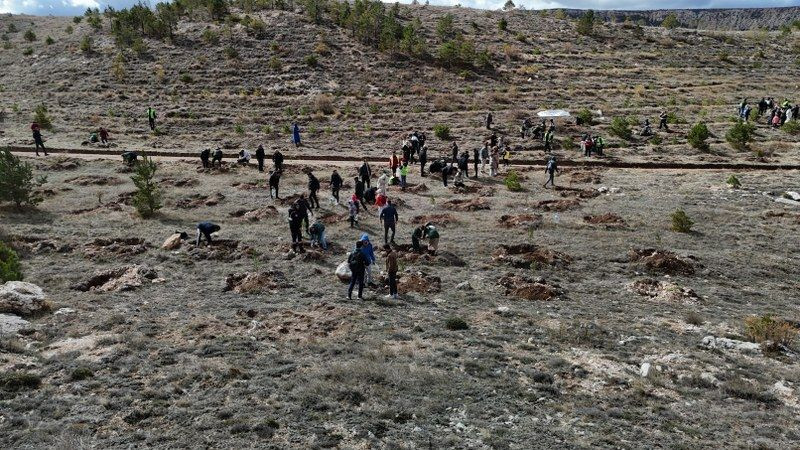 Polis memuru şehit Şeyda Yılmaz'ın adı hatıra ormanında yaşatılacak! - Sayfa 3