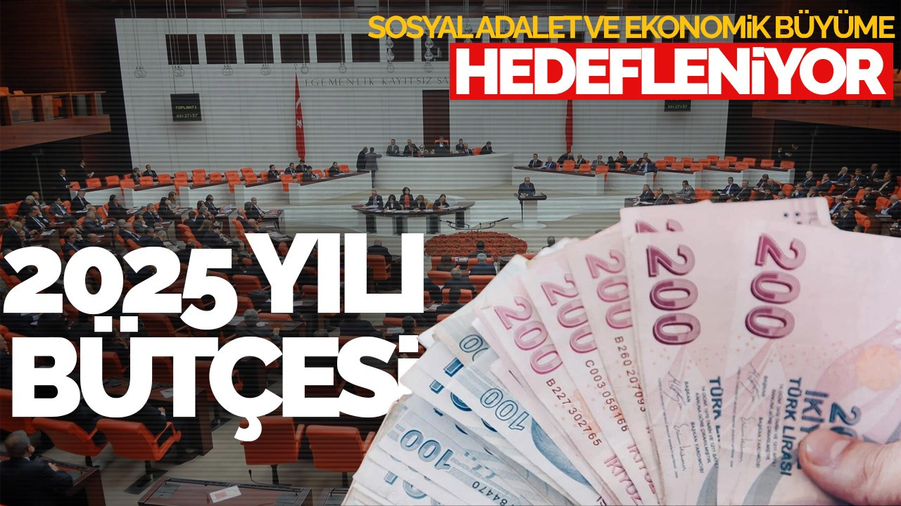 2025 Yılı Bütçesi: Sosyal Adalet ve Ekonomik Büyüme Hedefleniyor