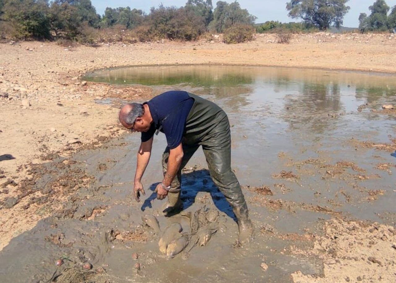 Kuruyan gölette balık kurtarma operasyonu - Sayfa 3