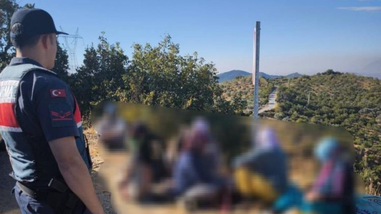 Aydın'da 475 Kilogram İncir Çalan Hırsızlar Jandarma Tarafından Yakalandı