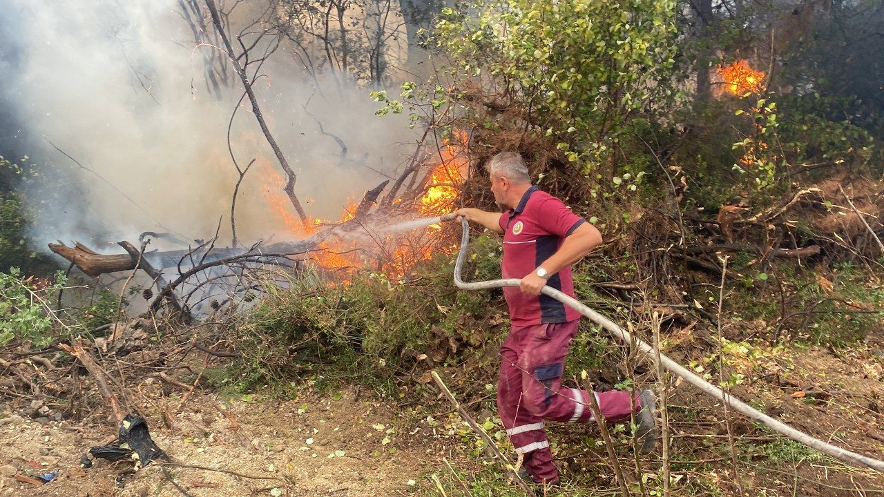 Çanakkale'de orman yangını - Sayfa 4