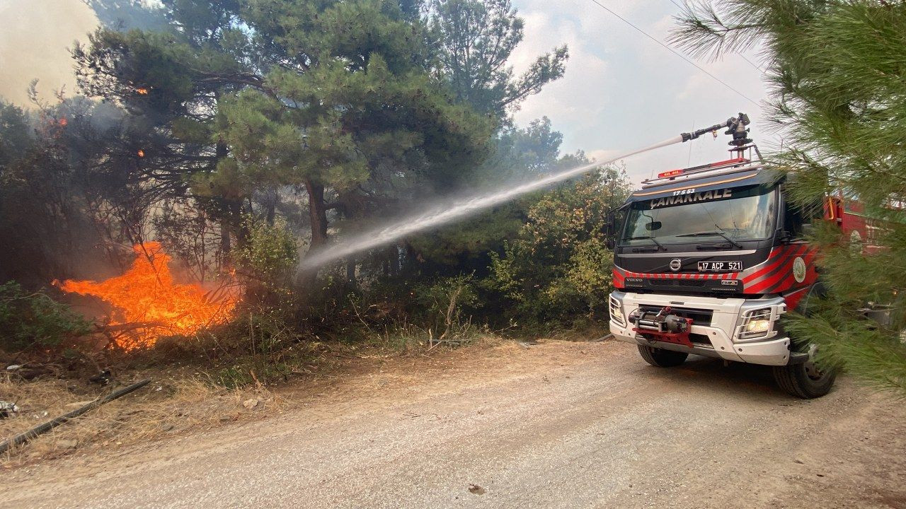 Çanakkale'de orman yangını - Sayfa 5