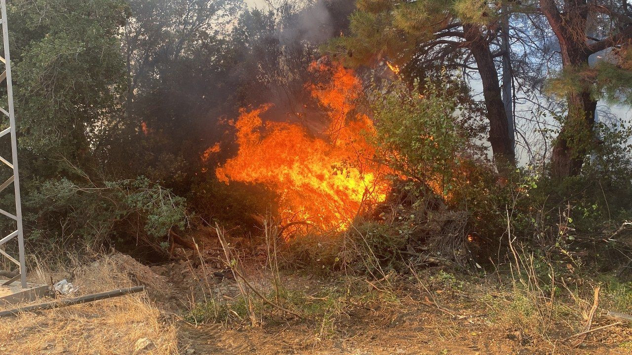 Çanakkale'de orman yangını - Sayfa 6