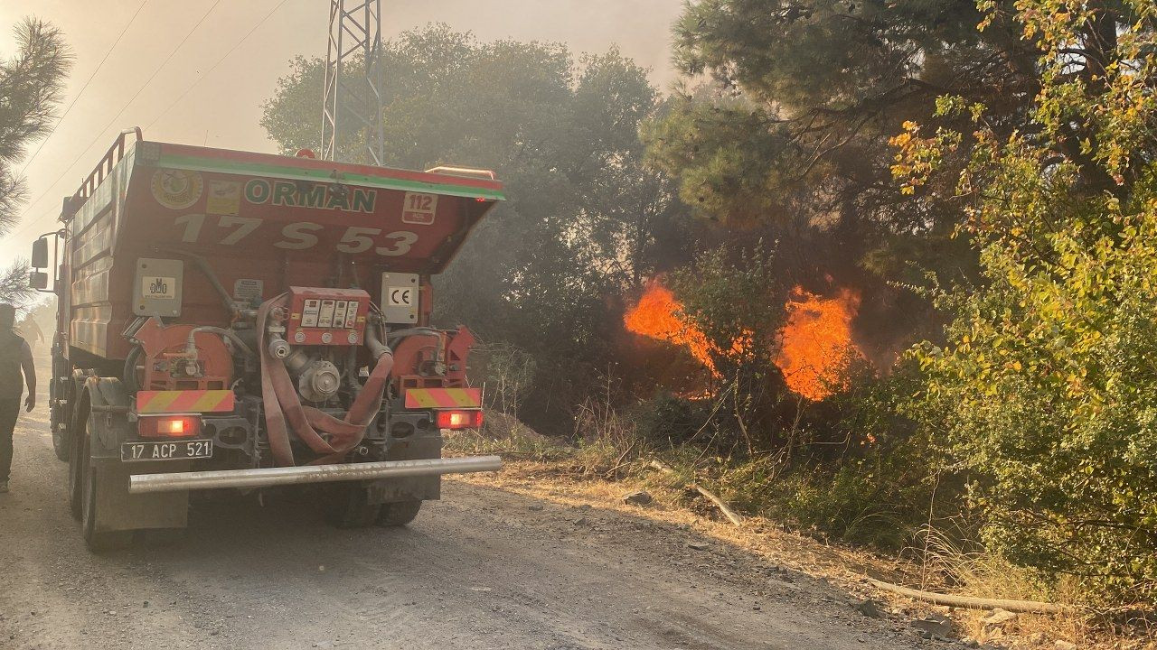 Çanakkale'de orman yangını - Sayfa 7