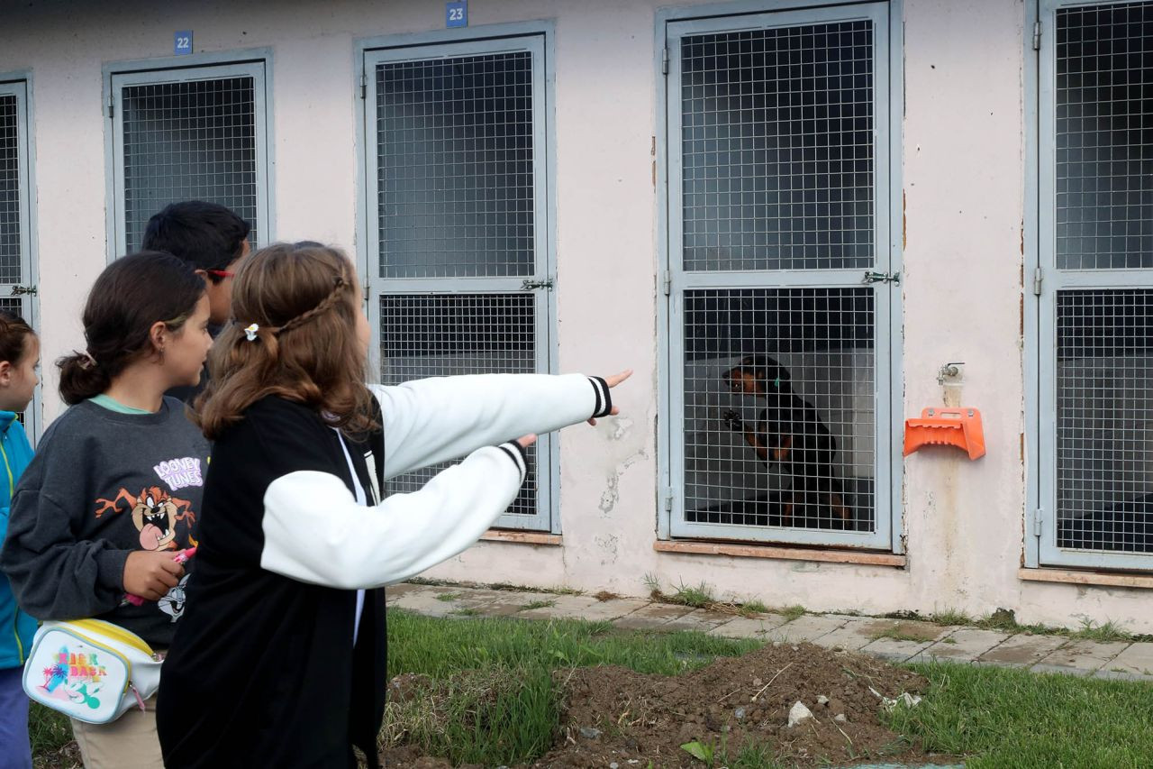 Büyükşehir’den Öğrencilere Unutulmaz Bir Gün: Can Dostlarla Buluşma ve Macera Parkı'nda Heyecan Dolu Anlar - Sayfa 17