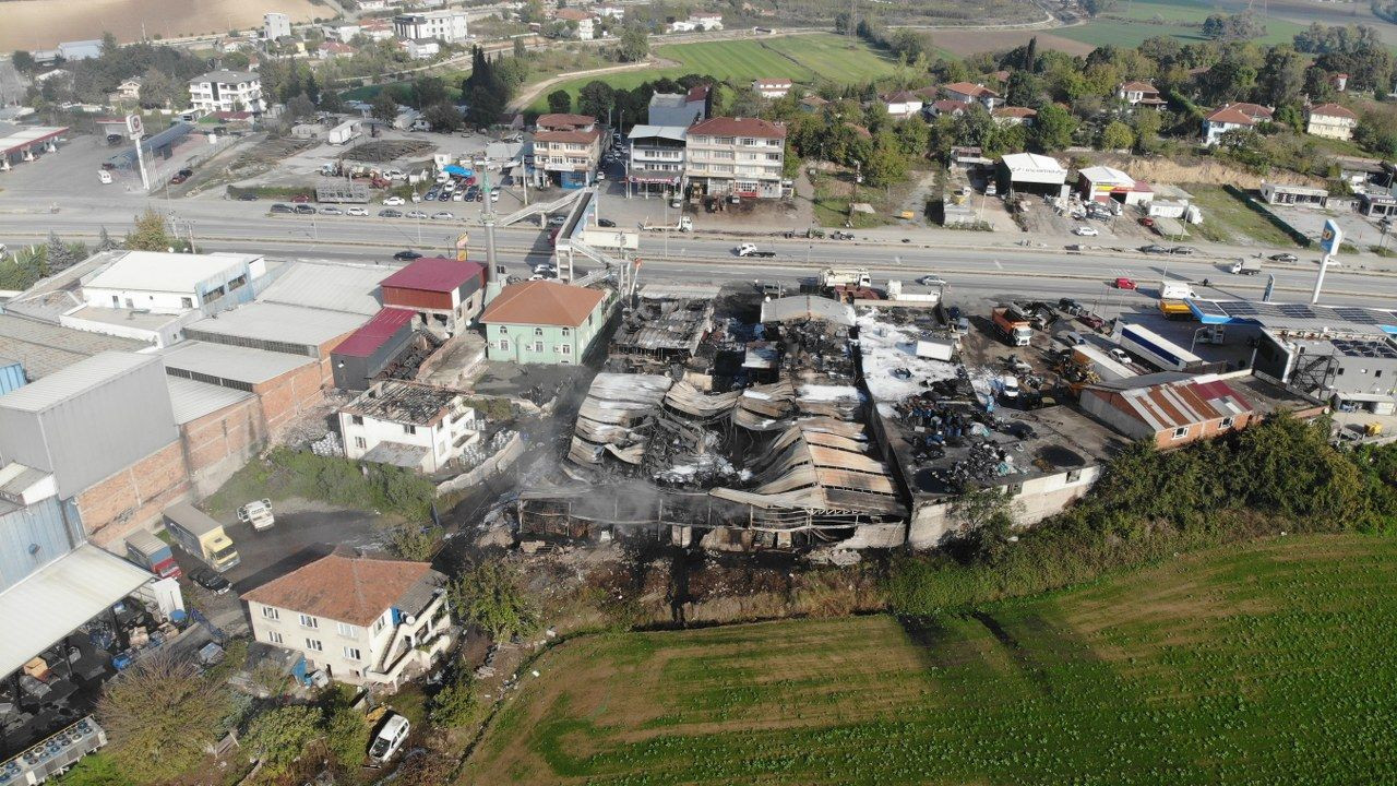 Sakarya' daki yangının boyutu gün ağırınca ortaya çıktı - Sayfa 9