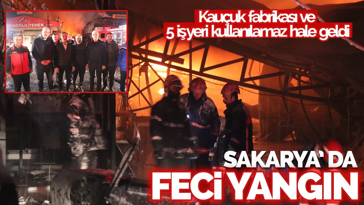 Sakarya' da feci yangın!