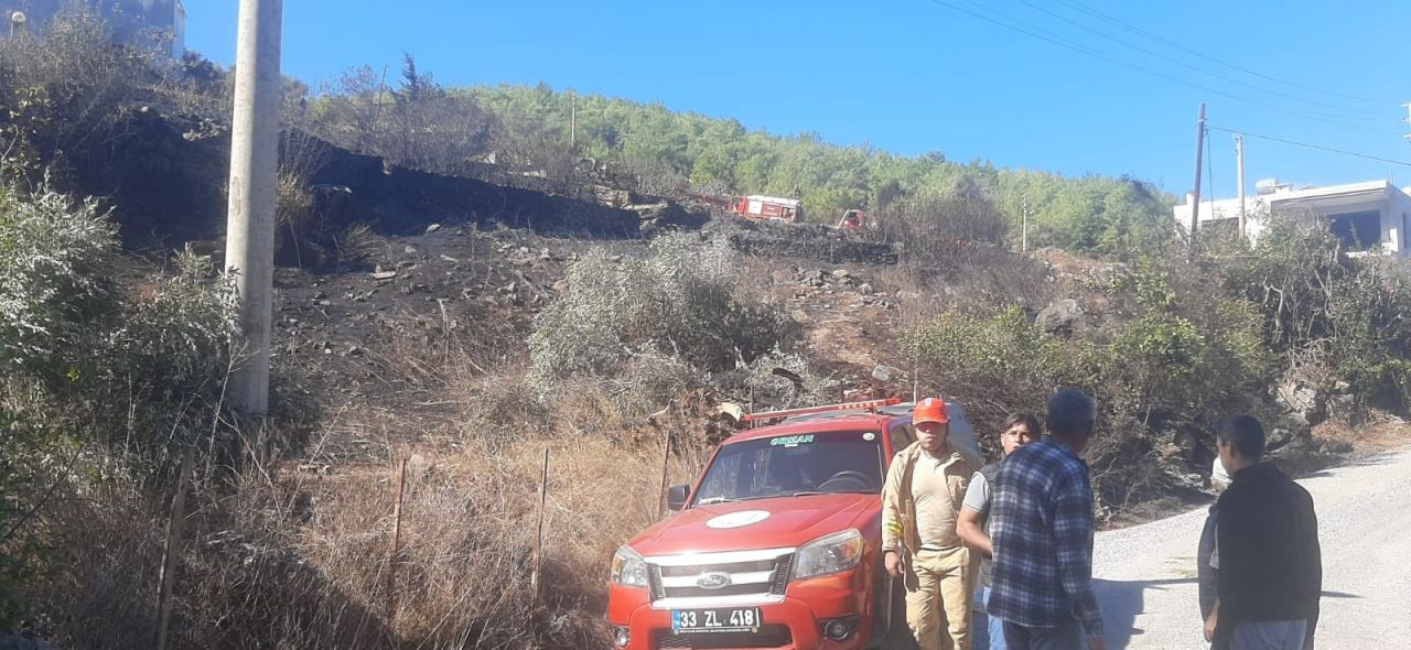 Mersin'de zeytinlik alanda yangın - Sayfa 2