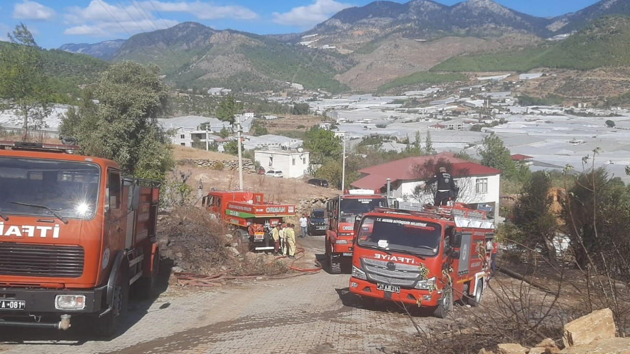 Mersin'de zeytinlik alanda yangın