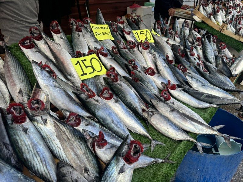 Zonguldak'ta palamutun fiyatı düştü! Vatandaş ilgi gösterdi. - Sayfa 3