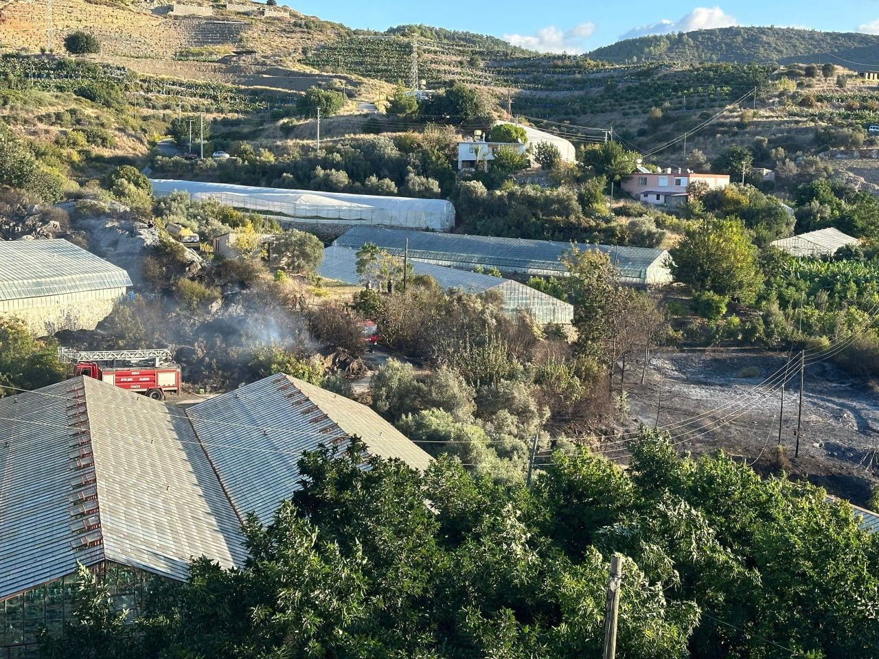 Alanya'daki Avokado Bahçesinde Yangın, 60 Ağaç Küle Döndü! - Sayfa 5