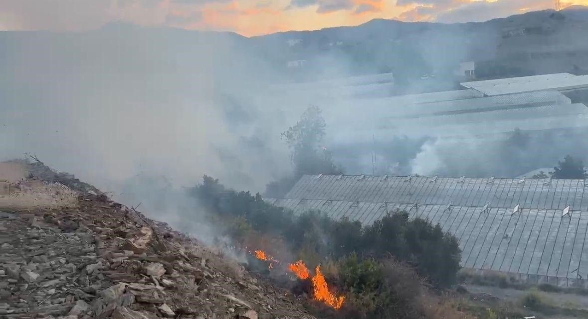 Alanya'daki Avokado Bahçesinde Yangın, 60 Ağaç Küle Döndü! - Sayfa 2