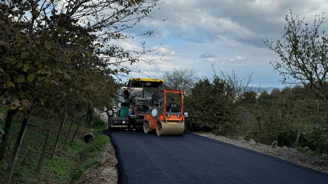 Serdivan Belediyesi,  Kazımpaşa-Çubuklu bağlantı yolu asfaltladı