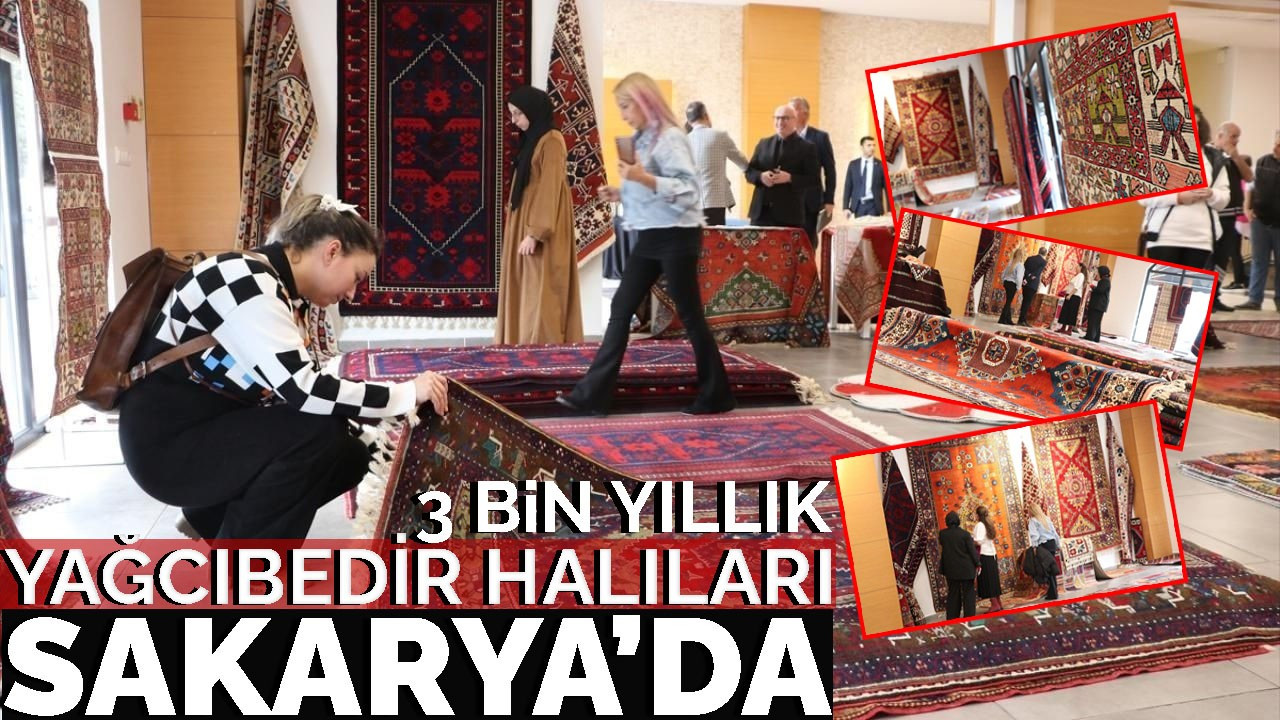 3 bin yıllık Yağcıbedir halıları sonra Sakarya' da