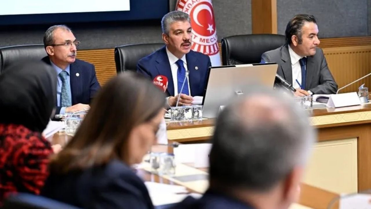 Adalet Komisyonu'ndan kadın ve çocuklara yönelik cinsel saldırı suçları için  çarpıcı öneri: Hadım cezası uygulansın! - Sayfa 3