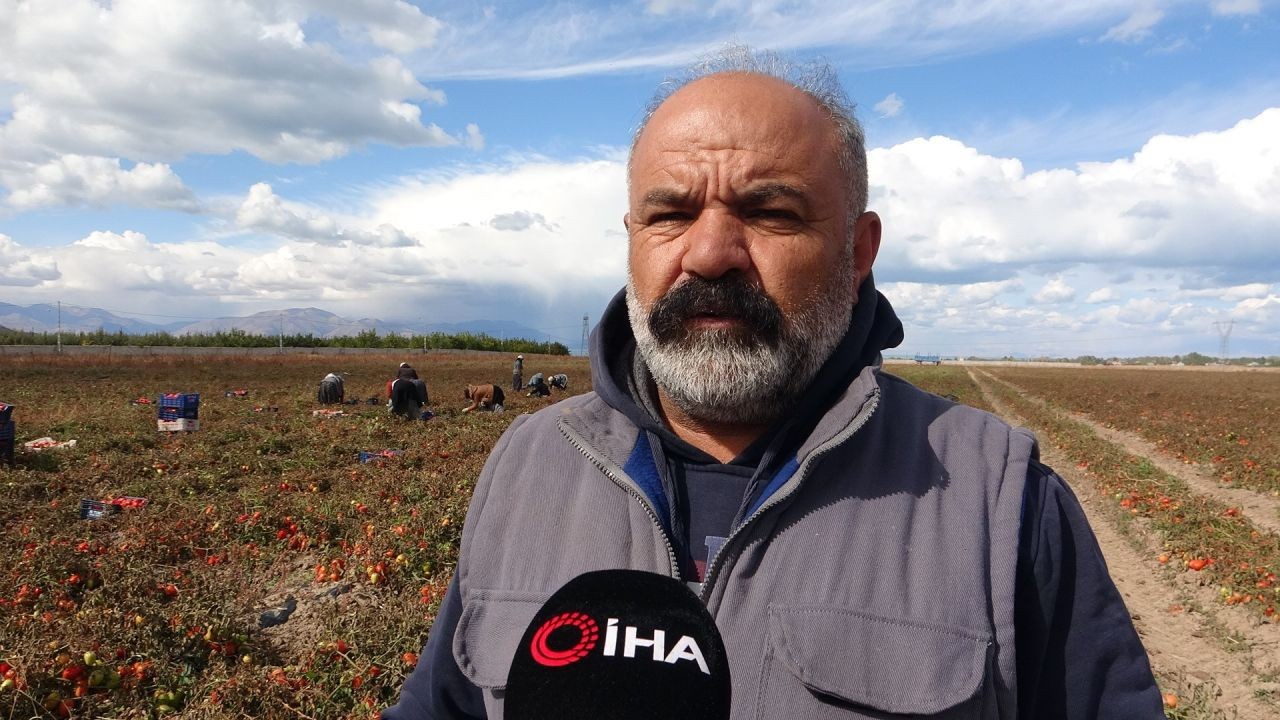 Soğuk Hava Tarlaları Vurdu, Tonlarca Sebze Dondu - Sayfa 10